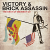 x_763_victory_brickassasin.png