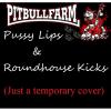 x_634_pussy-lips-roundhouse-kicks.jpg