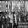 x_645_brick_assasin.png